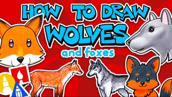 How to Draw Wolves & Foxes