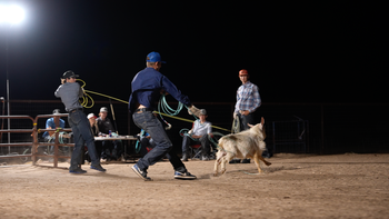 Goat Roping | 2026