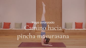 Camino hacia pincha mayurasana. Power con Yasmina
