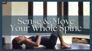Sense And Move With Your Whole Spine