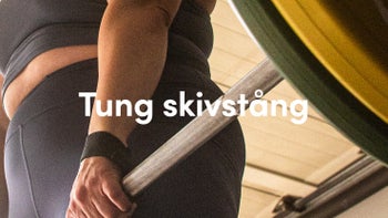 STYRKA MED TUNG SKIVSTÅNG 