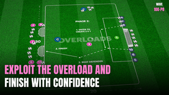 Exploit the Overload to Finish | 100-P8