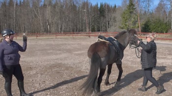 Anna: "Bete dig som en dåre med den försiktiga hästen"