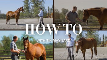 Tik Maynard's How To Collection