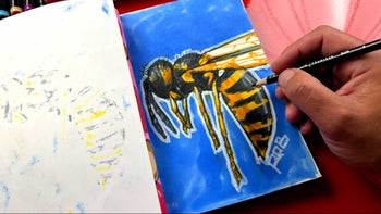 Sketchbook Challenge - draw your favorite insect