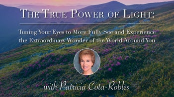 The True Power of Light with Patricia Cota-Robles