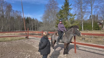 Jobba med sitsen - Skritt-halt-skritt-halt