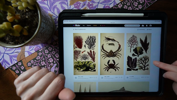 Wallpaper Keywords Into Pattern Ideas