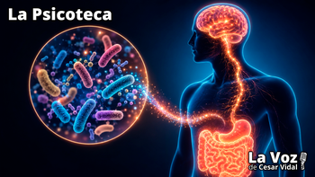 Psicobióticos: las bacterias que cambian tu mente - 03/06/26