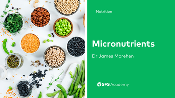 Micronutrients for Athletes
