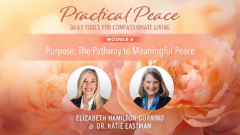 Module 6 Purpose: The Pathway to Meaningful Peace