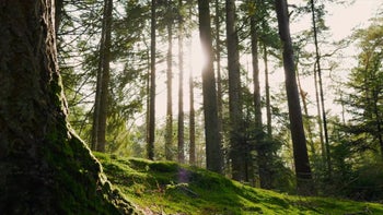 Meditation: Den inneren Raum erfahren
