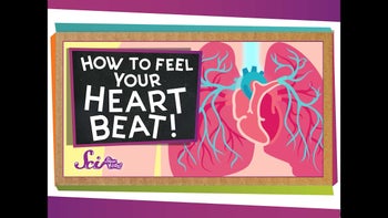How to Feel Your Heart Beat