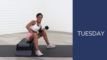 Upper Body (Abs, Back, Biceps, Shoulders)  31