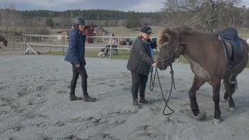 Träna traven - börja från mark