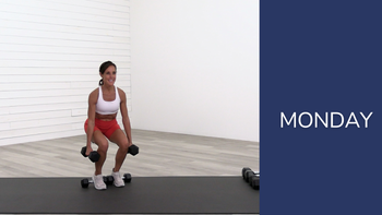 Lower Body (Glutes, Hams, Quads) 24