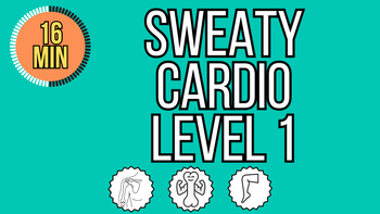 15 Min Sweaty Cardio Level 1