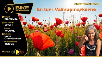 Lone - Valmuemarkerne 