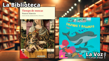 "Tiempo de moscas" y "Mi Mundo. Delfines y ballenas" - 25/06/26