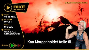 2026-06-26 Kan Morgenholdet tælle til...