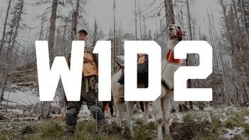 AR50 - W1D2