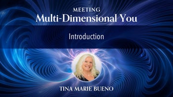 Intro Vision Purpose Mission