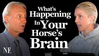 Horse Training and the Nervous System: What's Really Happening in Your Horse's Brain