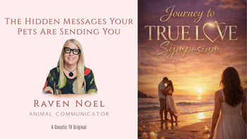 The Hidden Messages Your Pets Are Sending You | Raven Noel