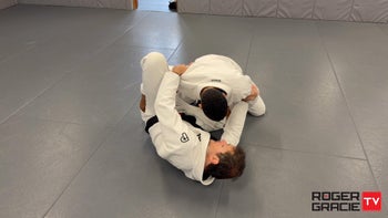 Knee Shield Fly By Sweep