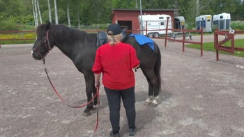 Gör din häst modig genom att vänja den vid "faror"