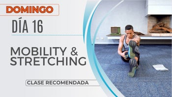 Calendario Mensual - 16/08/26 - Body Strong