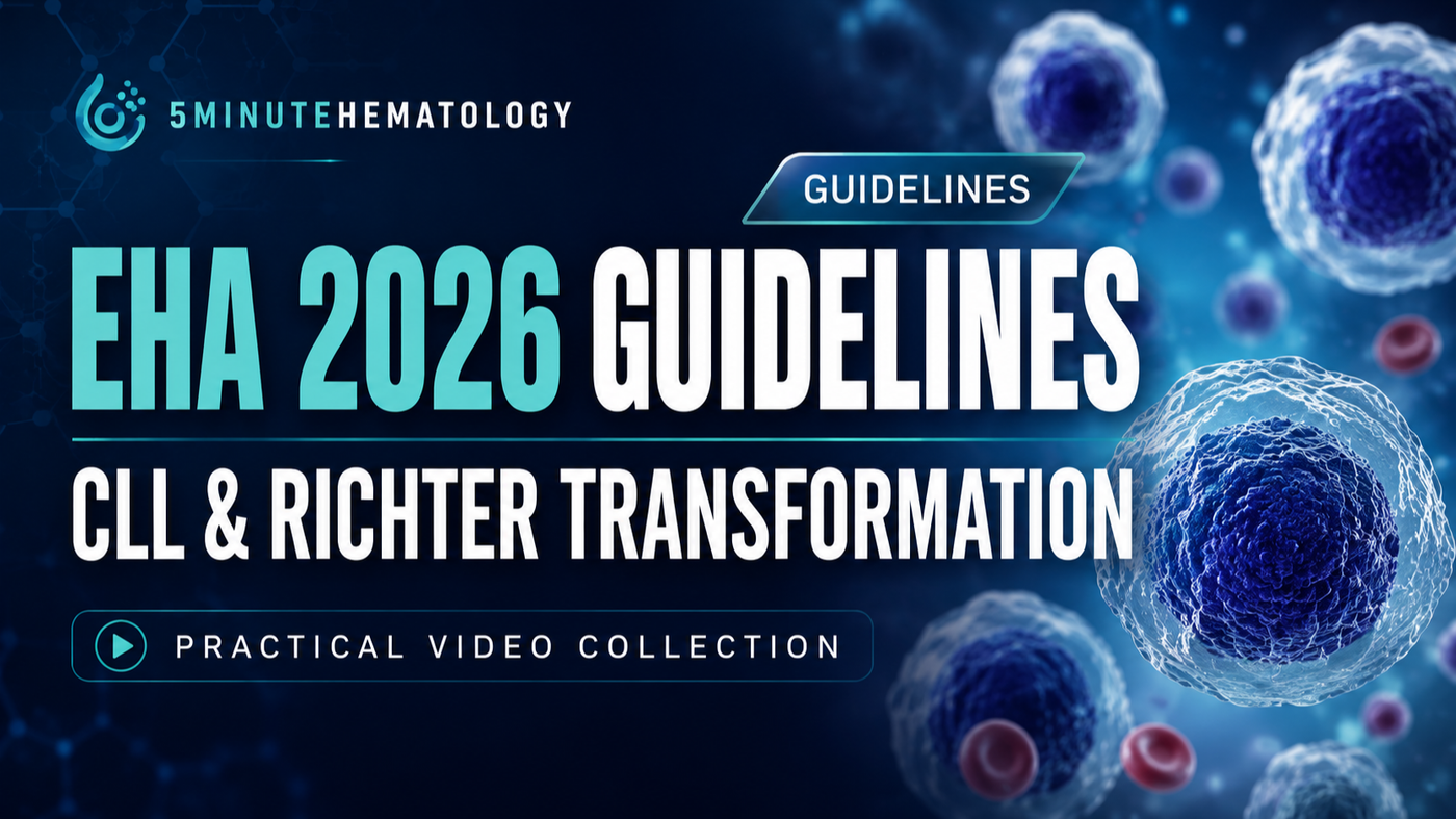EHA 2026 Guidelines: CLL and Richter Transformation