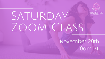 Saturday, November 28th, 9am PT - ZOOM