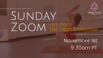 Sunday, November 1st, 9:30am PT - ZOOM
