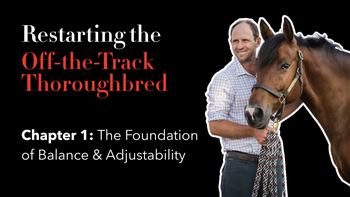 Ch. 1: Understanding the Off-the-Track Thoroughbred | Restarting the OTTB with Tik Maynard | Presented by 4CYTE