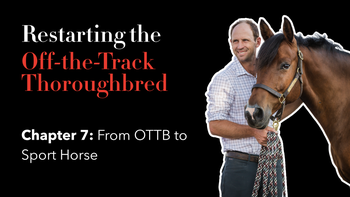 Ch. 7: From OTTB to Sport Horse | Restarting the OTTB with Tik Maynard | Presented by 4CYTE