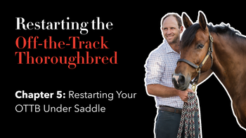 Ch. 5: Restarting Your OTTB Under Saddle | Restarting the OTTB with Tik Maynard | Presented by 4CYTE