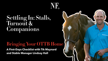 Ep. 2: Settling In: Stalls, Turnout and Companions | Restarting the OTTB | Presented by 4CYTE