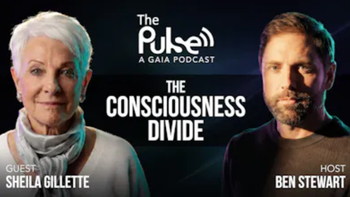 The Consciousness Divide