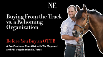 Ep. 3: Buying From the Track vs. a Rehoming Organization | Restarting the OTTB with Tik Maynard | Presented by 4CYTE