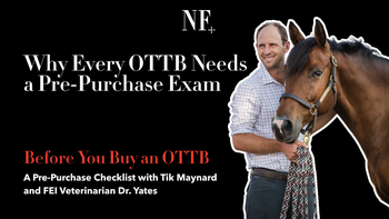 Ep. 1: Why Every OTTB Needs a Pre-Purchase Exam | Restarting the OTTB with Tik Maynard | Presented by 4CYTE