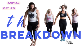 Animal | The Breakdown | 8.24.26
