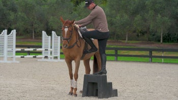 Trailer: Restarting the Off-The-Track Thoroughbred with Tik Maynard