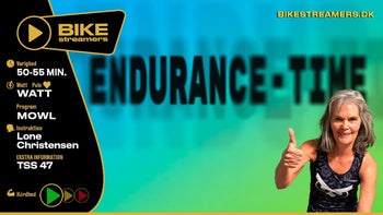 Endurance - vol 1
