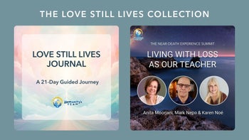 The Love Still Lives Collection