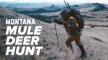 Mountain Mule Deer Hunt With Army Ranger (Ret.)