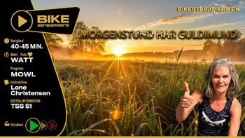 Lone - Morgenstund har Guldimund