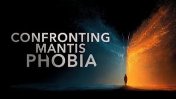 Confronting Mantis Phobia