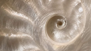Find Your Bearings