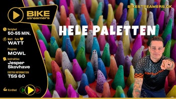 Jesper Skovhave - Hele paletten